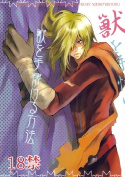 [Mame Teishoku (Tatewaki Mame)] Kemono o Tenazukeru Houhou (Tengen Toppa Gurren Lagann) [English] [Euphoria Scans]