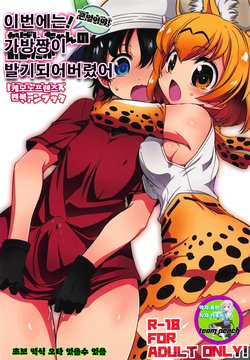 (C95) [Yokoshimaya. (Yokoshima Takemaru)] Taihen!! Kondo wa Kaban-chan no Omata ga Harechatta! | 큰일이야! 이번에는 가방짱이 발기되버렸어 (Kemono Friends) [Korean]