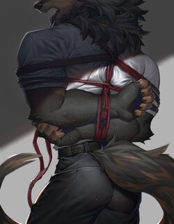 Artist - TYArashi