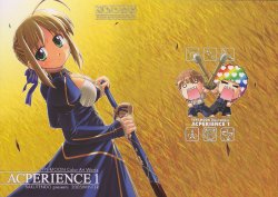 (C69) [BAKUTENDOU] ACPERIENCE 1 (Fate/stay night)