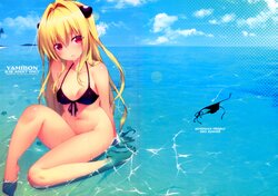 (C88) [Remonsan-Project (Syokuyou-mogura)] YAMIBON (To LOVE-Ru)