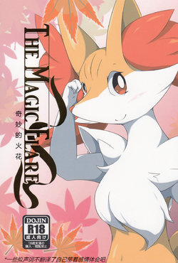 (C89) [Umiitati (Biidama)] The Magic Flare (Pokémon) [Chinese] [虾皮汉化组]