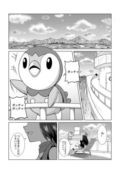 (Sungyeah) Pokemon DP High Touch! (Pokemon)