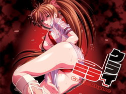 [FlyingShine Kuro] CrimeRhyme Kurai Mirai