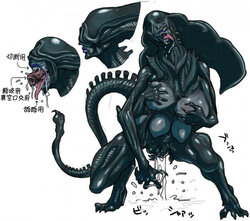 [Nezumi] Aliens and Predators [Chinese] [Banana手工漢化]