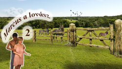 (Maxsmeagol)Lunchbreak_Sunflowers   2