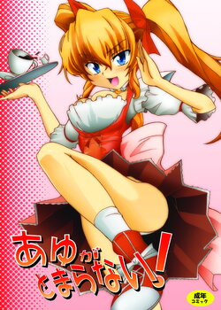 (C69)  [RIN (Mochi)] ayuga tomaranai (Kimi ga Nozomu Eien)