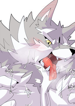 [Sdorica] Personal Collection (just furry)