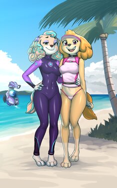 [DiacordST] Nice photo on the beach (PAW Patrol)