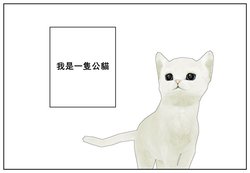 [A帆] 中學二年級的魔法少女 系列 [Chinese][這是一般向]