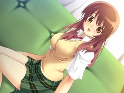 [Puzzlebox] Moe Nikki