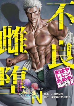 [N] Furyou Mesu Ochi [Chinese] [小野人漢化] [Digital]