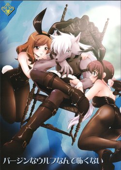 (C82) [MünchenGraph (Kita Kaduki, Mach II)] Virgin na Wolf nante Kowaku nai (Smile PreCure!)