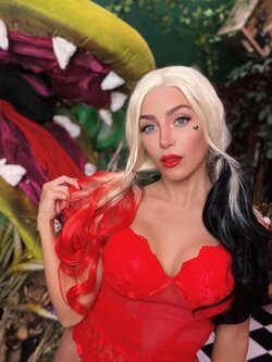 Lisa Mancini - Harley