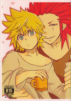 (C91) [PDKS (Acrow)] Does It Turn You On? (Kingdom Hearts)