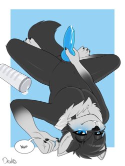 [Artist] - Drako1997