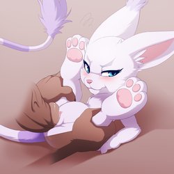 [Darkmirage] Gato Set