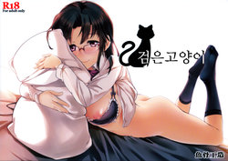 (C87) [Gyokotsu Kouzou (Kapo, Sakanahoshi)] Kuro Neko | 검은고양이 [Korean]