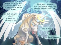 ARTIST paloma-paloma