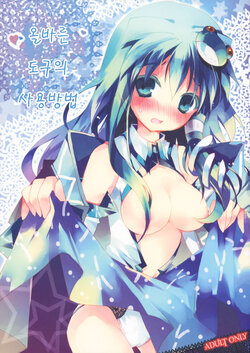 (Reitaisai 7) [BIBASUKU (Ayuka)] Tadashii Dougu no Tsukaikata | 올바른 도구의 사용법 [Korean](Touhou Project)