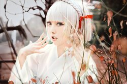 [斯文文文文] 阴阳师手游山兔