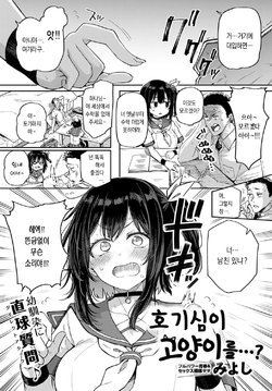 [Miyoshi] Koukishin wa Neko o mo…？ | 호기심이 고양이를…？ (COMIC Anthurium 2021-08) [Korean] [dj2020] [Digital]