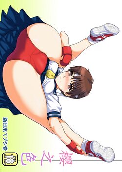 [Shinnihon Pepsitou (St.germain-sal)] Sakura iro | 櫻之色 (Street Fighter) [Chinese] [Miki個人漢化] [Digital]