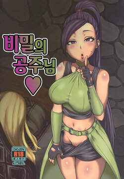 (C93) [ParadiseGom (Gorgonzola)] Naisho no Ohime-sama | 비밀의 공주님 (Dragon Quest XI) [Korean]