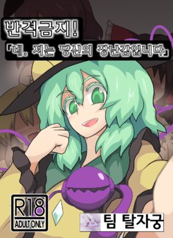 [Zensuu Hakai Kensa (Black)] Hangeki Kinshi! "Hai. Watashi wa Anata no Aigangu" | 반격금지! 네. 저는 당신의 장난감입니다. (Touhou Project) [Korean] [팀 탈자궁] [Digital]