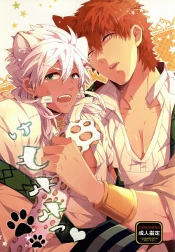 (C81) [Harugano (Harugano Kaoru)] Kemomimi! (Magi: The Labyrinth of Magic)