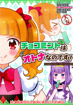 (C94) [Oronamin-Day (Ripo Day)] ChocoMint wa Otona na no desu! | Chocolate mint is an adult. (Hugtto! Precure) [Chinese] [大友同好会]
