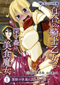 Novel lllustrations by Tamakko