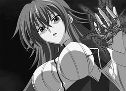 [yxyyxy] AU Issei's Harem (Highschool DxD)