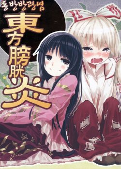 (Reitaisai 8) [Orange Mill (Sumi, Suzuri)] Touhou Boukouen (Touhou Project)(korean)