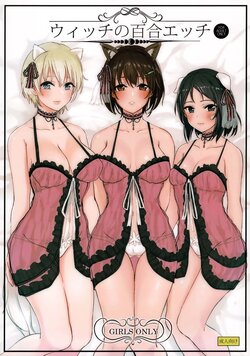 (C91) [Gorori no DIY (Suto)] Witch no Yuri Ecchi (Brave Witches) [Chinese]
