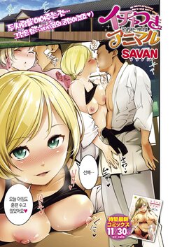 [SAVAN] Icha Tsuki Animal | 꽁냥대는 애니멀 (COMIC Kairakuten 2019-01) [Korean] [Digital]