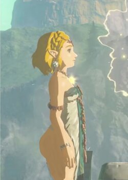 Tears of the Kingdom (TOTK)