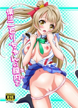 [GUST (Harukaze Soyogu)] Boku wa Kotori-chan no Naka de (Love Live!) [English] [Digital]