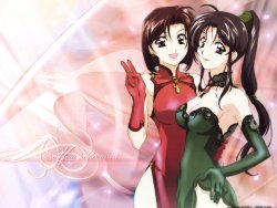 Wallpaper Collection