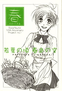 [Endless.Love (Nanoka)] Wakaba no Koro Shunshoku no Sora (Vision of Escaflowne)
