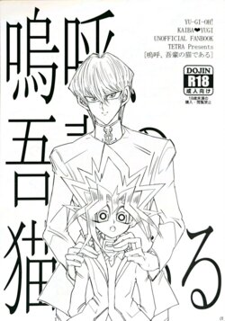 (Sen bato 19)Mei ko, wagahai no nekodearu(Yu-Gi-Oh!)(Chinese)