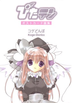 pita-ten post card book