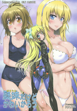 (C90) [Chinpudo (Marui)] Gimouto dakedo Kawaikarou  (Muv-Luv Schwarzesmarken)