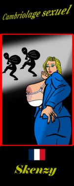 Cambriolage sexuel (version française)  [Skenzy]