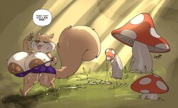 João Pereira Colletion