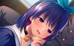 [Liquid] Seidorei Gakuen 2 Shokai-ban Tokuten Append Scenario Tsuika Patch