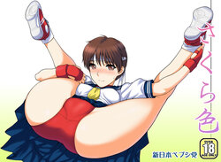 [Shinnihon Pepsitou (St.germain-sal)] Sakura iro (Street Fighter) [Digital]