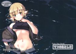 (C83) [Tetsu no Otoshigo (Chirorian)] Bridge Blue (Touhou Project)