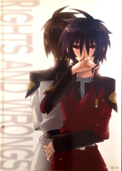 [sachi-machi (Shiina Ayumi)] Rights and Wrongs (Gundam Seed Destiny) [Chinese]