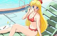 Free Hentai Image Set Gallery: Swimsuit edition (1)